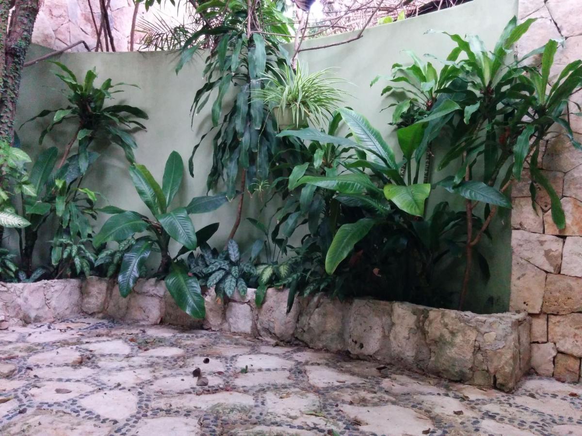 Casa Beard, Spacious Guest House With High Speed Wifi & Pool. Playa del Carmen Buitenkant foto