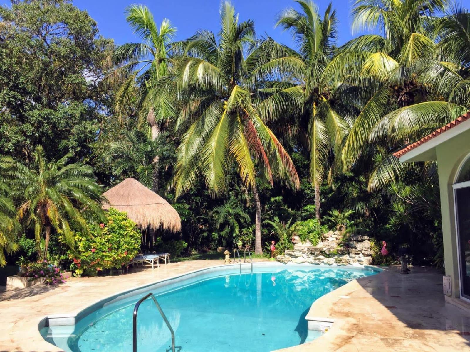 Casa Beard, Spacious Guest House With High Speed Wifi & Pool. Playa del Carmen Buitenkant foto